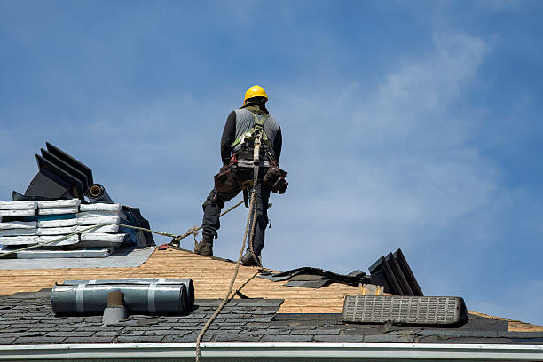 Professional Roofing technician working in Argonne, WI